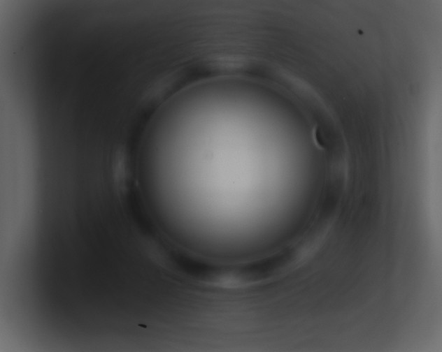 X0000101470264200807071449