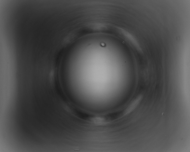 X0000101470265200807071449