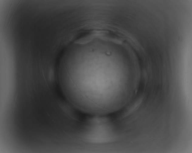 X0000101470270200807071449