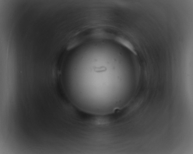X0000101470275200807071449