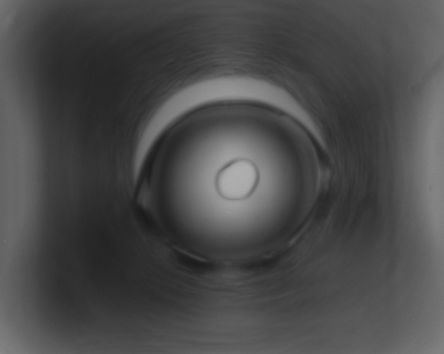 X0000101470276200807071449