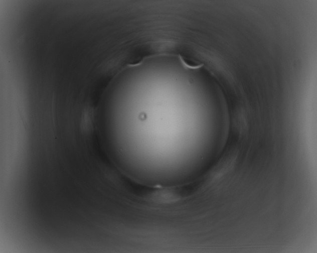 X0000101470280200807071449