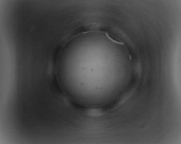 X0000101470283200807071449