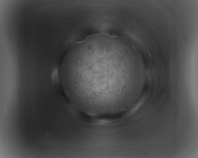 X0000101470286200807071449