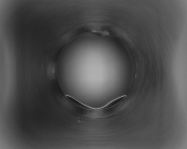 X0000101470288200807071449