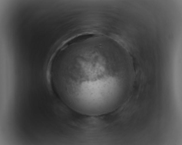 X0000101470290200807071449