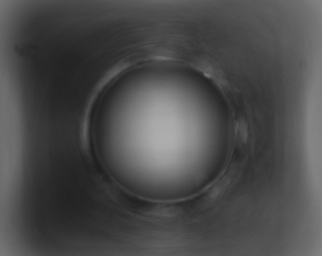 X0000101470292200807071449