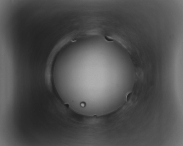 X0000101470293200807071449
