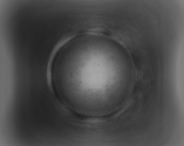 X0000101470294200807071449