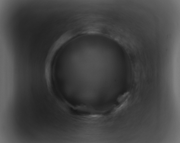 X0000101470295200807071449