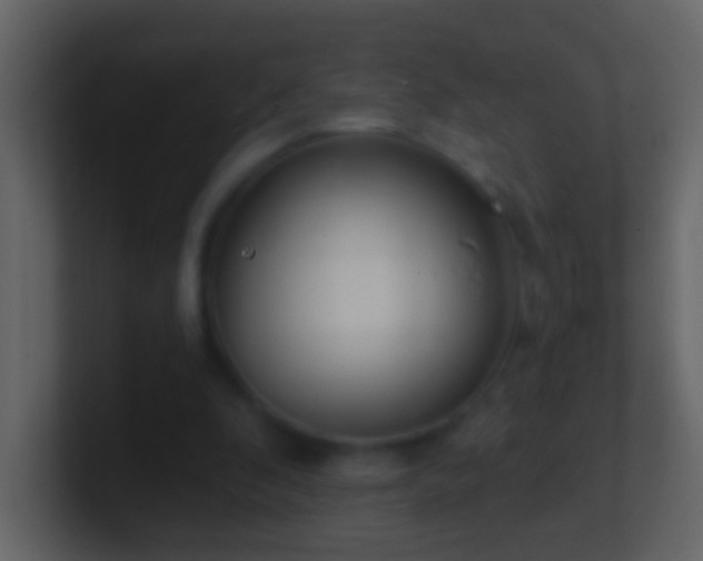 X0000101470296200807071449