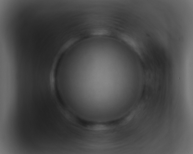 X0000101470298200807071449
