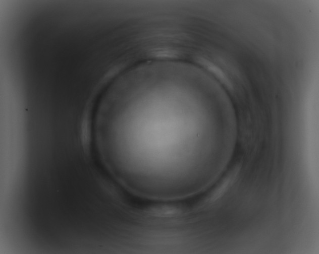 X0000101470299200807071449