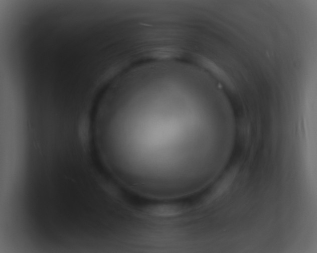 X0000101470303200807071449