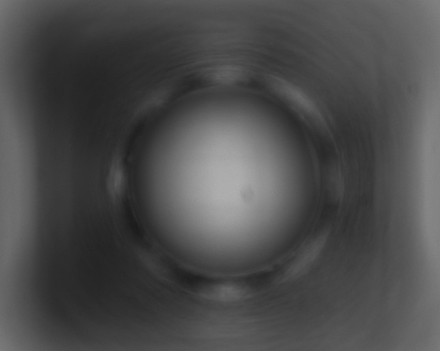 X0000101470310200807071448