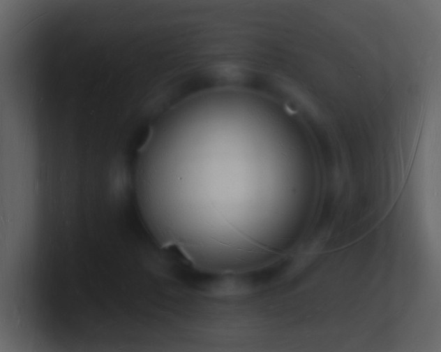 X0000101470320200807071448