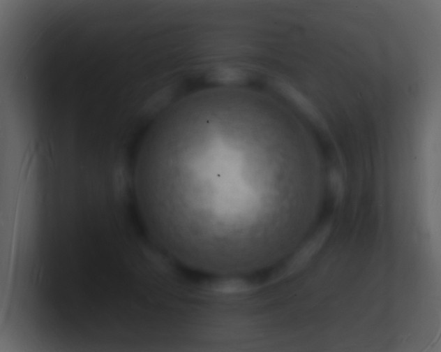 X0000101470322200807071448