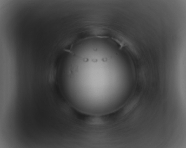 X0000101470325200807071448