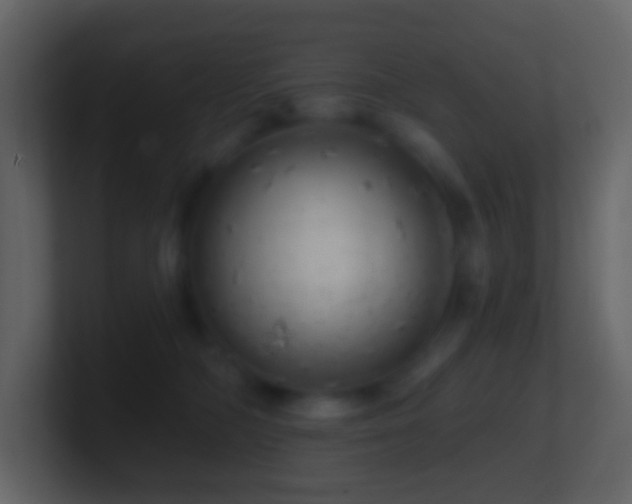 X0000101470326200807071448