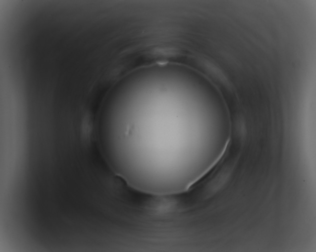 X0000101470328200807071448