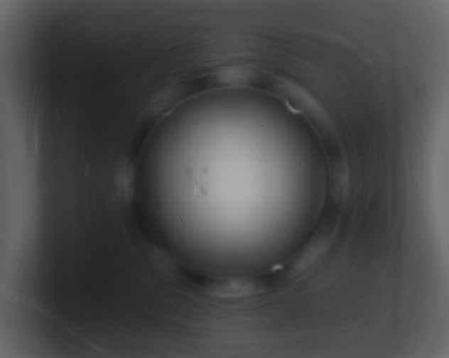 X0000101470329200807071448