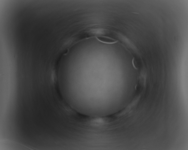 X0000101470330200807071448