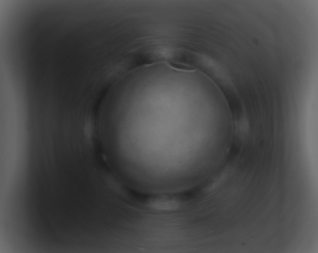 X0000101470331200807071448