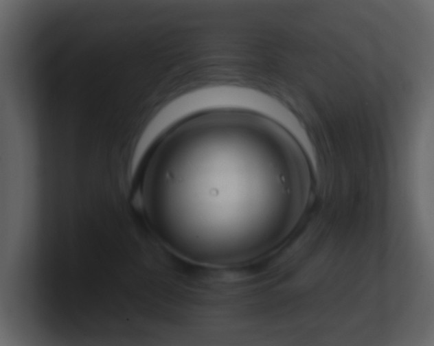X0000101470332200807071448