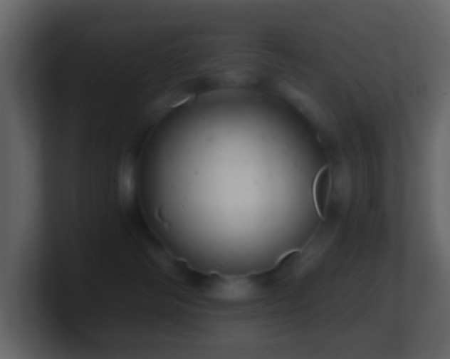 X0000101470334200807071448