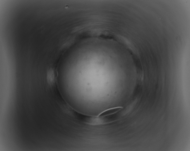 X0000101470335200807071448