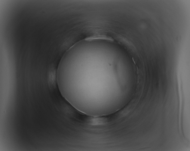 X0000101470336200807071448