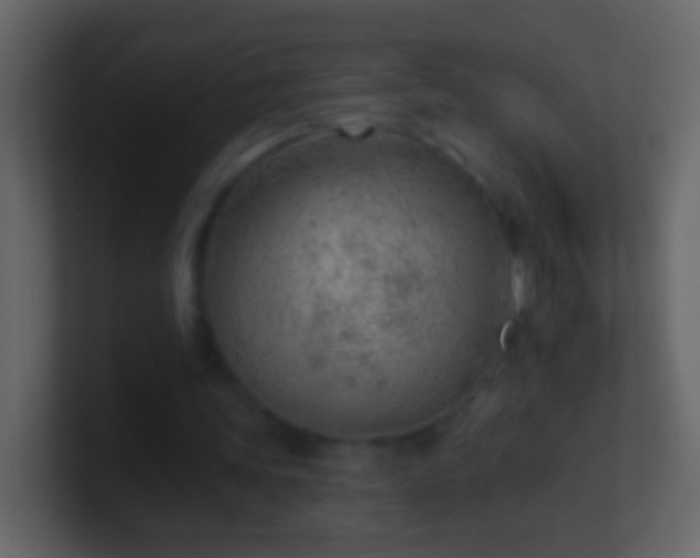 X0000101470339200807071447