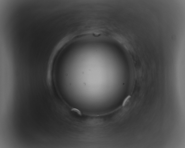 X0000101470340200807071448