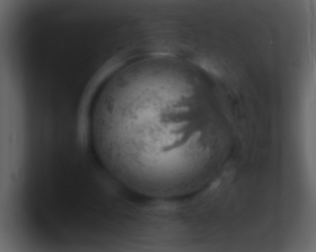 X0000101470343200807071448