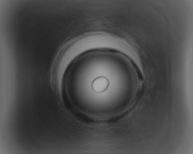 X0000101470344200807071448