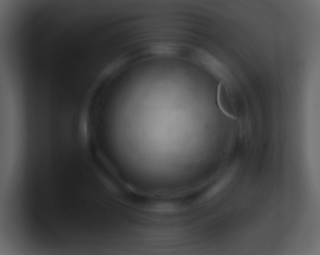 X0000101470349200807071448
