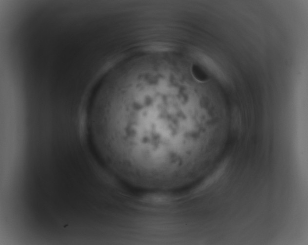 X0000101470351200807071448