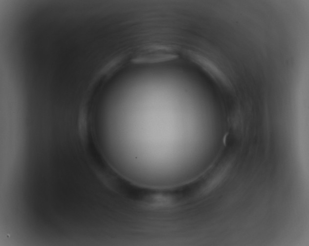 X0000101470352200807071448