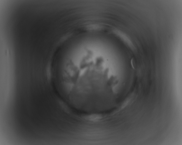 X0000101470353200807071448