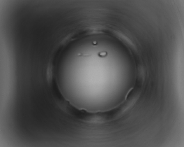 X0000101470356200807071448