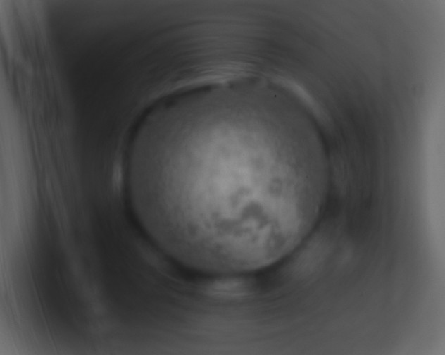 X0000101470357200807071448