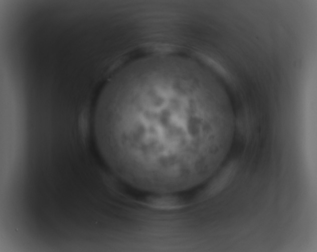 X0000101470359200807071448