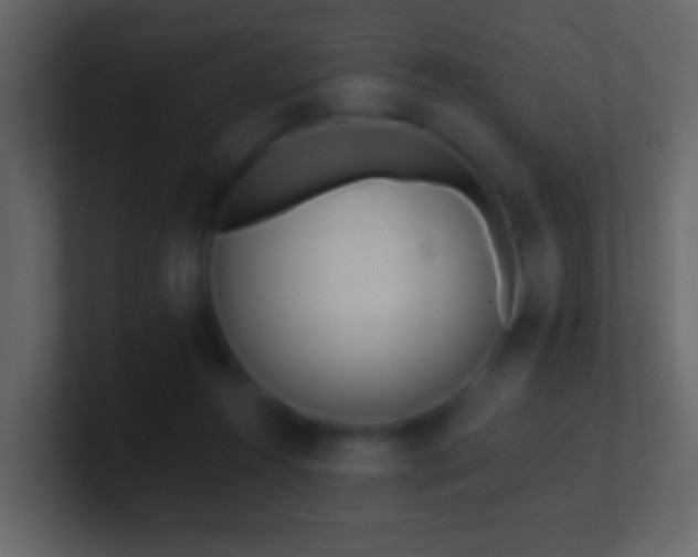 X0000101470360200807071448