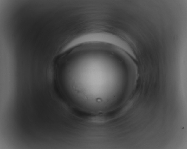 X0000101470362200807071448