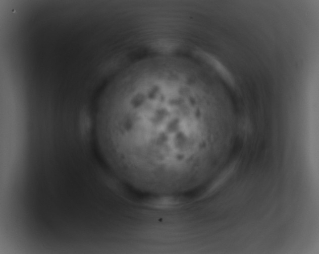 X0000101470365200807071448