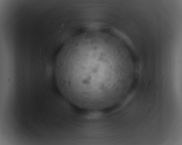 X0000101470369200807071448