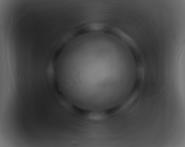 X0000101470373200807071448
