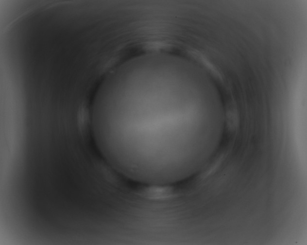 X0000101470375200807071448