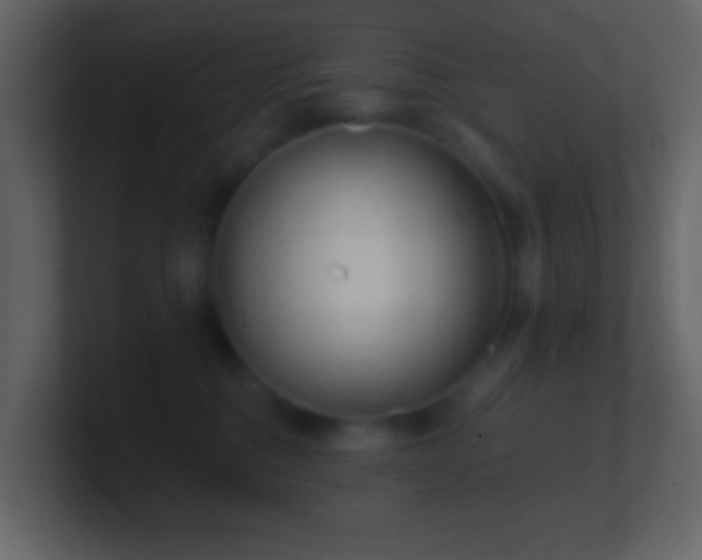X0000101470376200807071448