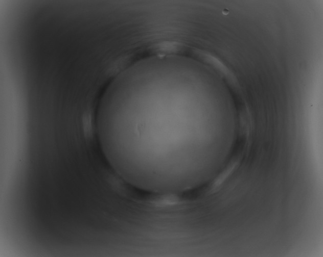 X0000101470377200807071448